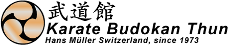 Logo-Budokan
